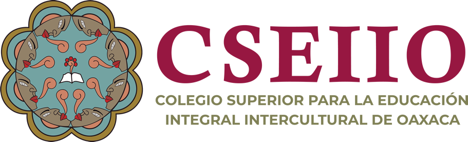 Logo CSEIIO